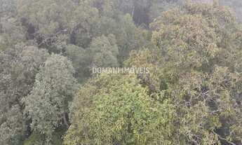 Imagem 4: Ampla Área de Terreno à Venda na Região de Descansópolis - Campos do Jordão/SP