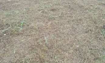 Imagem 3: M- Lote/Terreno para venda tem 360 metros quadrados em Areias de Cima (Guaporanga) - Bigua