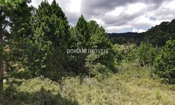 Imagem 4: Ampla Área de Terreno à Venda na Região do Alto da Boa Vista - Campos do Jordão/SP