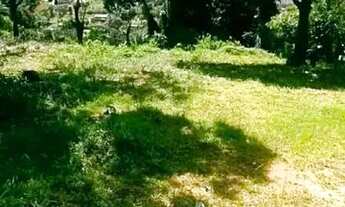 Imagem 3: Terreno Terreno / lote com venda por R$35.000