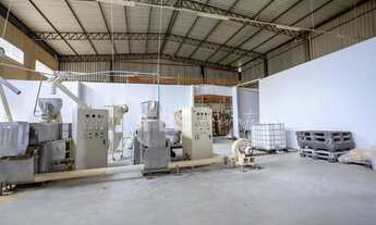 Imagem 3: 0 - Galpão - Distrito Agroindustrial de Aparecida de Goiânia