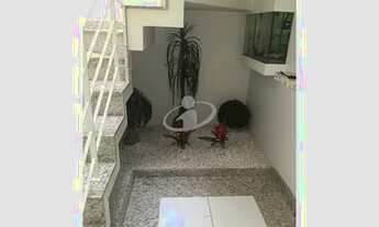 Imagem 6: Aluguel Prédio PATRIMONIO