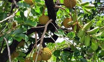 Imagem 3: Lote 900m2 Terreno / lote com venda por R$130.000