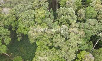 Imagem 2: Ampla Área de Terreno à Venda na Região de Descansópolis - Campos do Jordão/SP