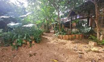 Imagem 6: Trabalhe integrado a natureza e no centro de Cuiabá