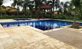 Imagem: Irene aluga apt no bairro Ilhotas