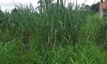 Imagem 2: Terreno à venda, 267 m² por R$ 100.000 - Jardim Luiza - Guararema/SP