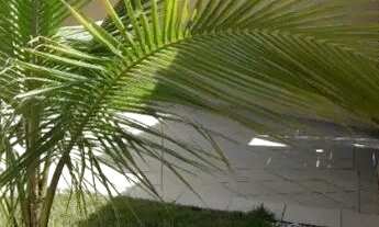 Imagem 5: Casa a venda em ouro preto olinda