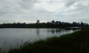 Imagem: Jaguaripe Itaparica Excelentes Lotes