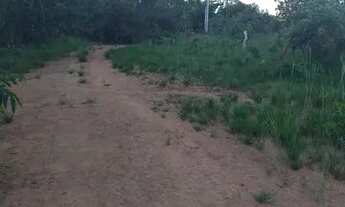 Imagem 7: Fazenda Goiás São João da Aliança