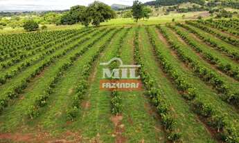 Imagem 2: Chácara 11,73 alqueires (56 hectares) Taquaral - Go