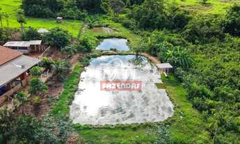 Imagem 4: Chácara 11,73 alqueires (56 hectares) Taquaral - Go