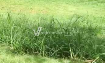 Imagem 4: Terreno - Loteamento Residencial Entre Verdes (Sousas) - Campinas