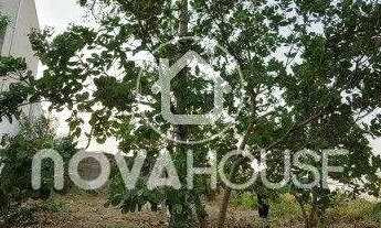 Imagem 2: TERRENO 10 MIN SHOPPING ESTAÇÃO