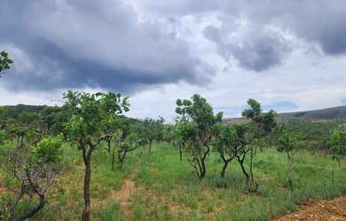 Imagem 3: Fazendinha sem entrada e sem consulta ao SPC - Cordisbusgo MG