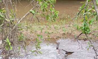 Imagem 2: Chácara 2 he em Alexania GO