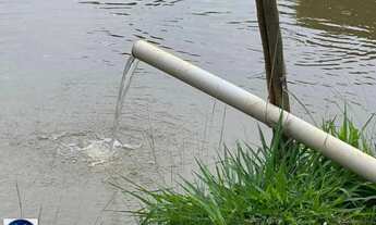 Imagem 4: Excelente Chácara em Bela Vista - GO! 1 Alqueire ! Com lazer