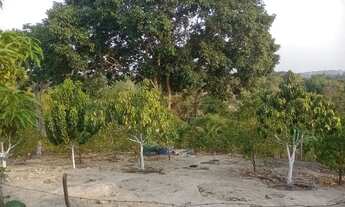 Imagem 5: Lindo terreno medindo 40x80 no Distrito Industrial 2 - zona Leste de Manaus,