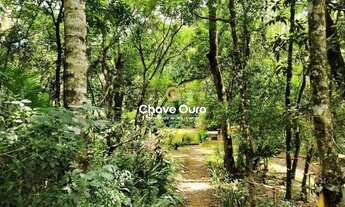 Imagem 3: Um Verdadeiro Paraíso, Sitio, Chácara um Paraíso 15 minutos de Cascavel