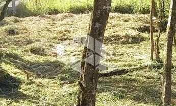 Imagem 5: Excelente terreno amplo com boa frente