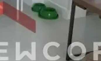 Imagem 3: Apartamento em Rua Álvaro Tamega - Centro - Campos dos Goytacazes/RJ