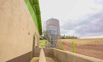 Imagem 16: Granja de Suínos Terminação