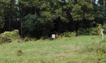 Imagem 4: Terreno para Venda em Nova Petrópolis, Pinhal Alto