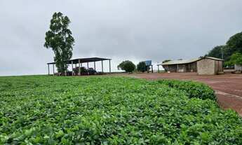 Imagem: Fazenda arrendamento 1.200hec em Rosário