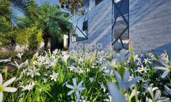 Imagem 5: Apartamento 3 Dormitório(s) Bairro Hauer