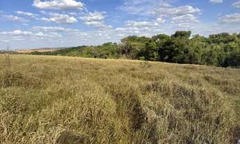 Imagem 5: Ótima Chácara em Itaberaí