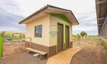 Imagem 12: Granja de Suínos Terminação