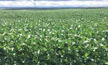 Imagem 2: Fazenda c/ 720he, sendo 500he em lavoura, Município de Rondonópolis-MT