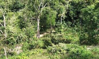 Imagem 5: Sitio no Puraquequara