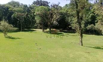 Imagem 2: Terreno à Venda em Canela!