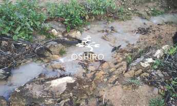 Imagem 2: FAZ. EM ARAGUAPAZ - GO - PROP.M.A. CÓD 14004