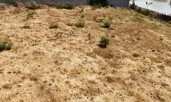 Imagem 2: VENDA DE 3 LOTES NO JOÃO BRAZ GOIÂNIA