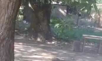 Imagem 3: VENDE-SE TERRENO EM BOMFIM!