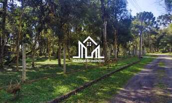 Imagem 6: Chácara em Condomínio à Venda em Tijucas do Sul/ PR