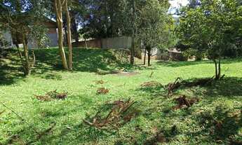 Imagem 3: Terreno em Bateias