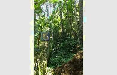 Imagem 4: Terreno Comercial à Venda em Campos do Jordão (Jaguaribe) 1.063 m²