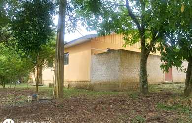 Imagem 5: Sítio Lapa PR ( Faxinal dos Correias