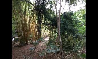 Imagem 4: Fazenda Na nossa senhora da guia