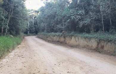 Imagem 2: Área em Catanduvas (Carambeí