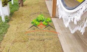 Imagem 6: LINDA CHÁCARA EM SIMÃO PEREIRA