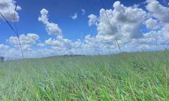 Imagem 5: Fazenda em Tabuleiro de Vitória, 400 tarefas de terra a 110km de Salvador