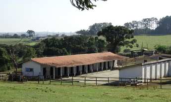 Imagem 7: Fazenda/Sítio/Chácara para aluguel possui 96000 metros quadrados com 3 quartos