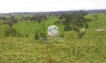 Imagem 6: Jaru - Sítio - 12 Alqueires