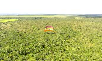 Imagem 3: Fazenda para Venda em Rio dos Bois, Leste