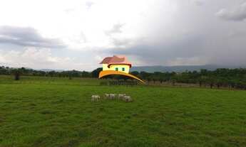 Imagem 3: Fazenda para Venda em Porto Nacional