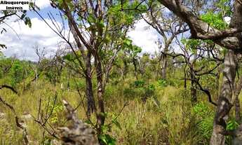 Imagem 2: FAZENDA RURAL em Mirador - MA, Mirador